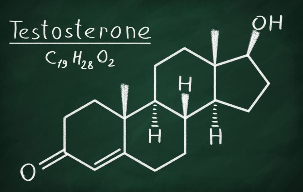 male hormone